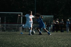 1_FG-29