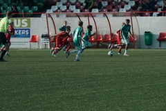 1_FG-4