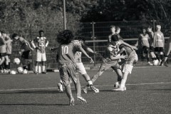 FG-114