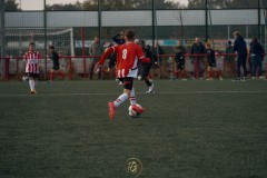 FG-31